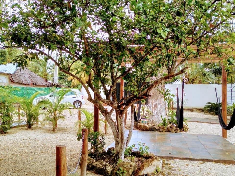 Cedro Rojo Hotel Bacalar Eksteriør billede